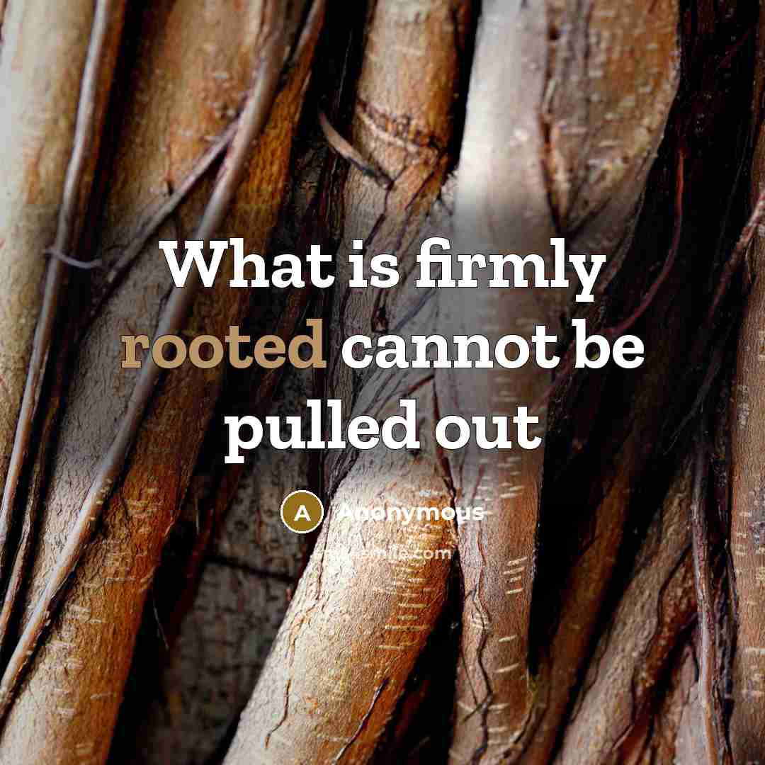 “What is firmly rooted cannot be pulled out” quote by Anonymous