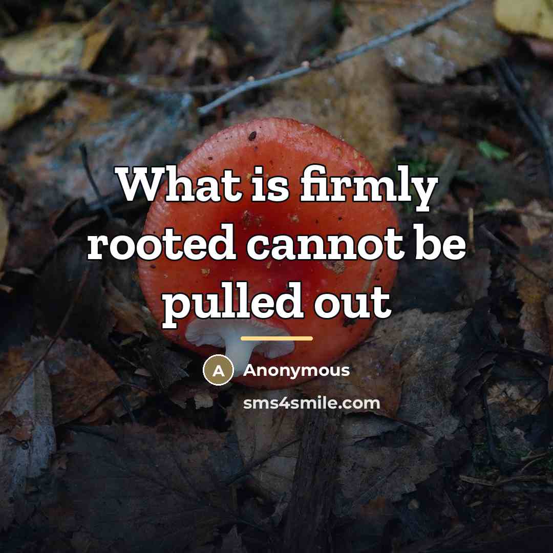 “What is firmly rooted cannot be pulled out…” quote by Anonymous