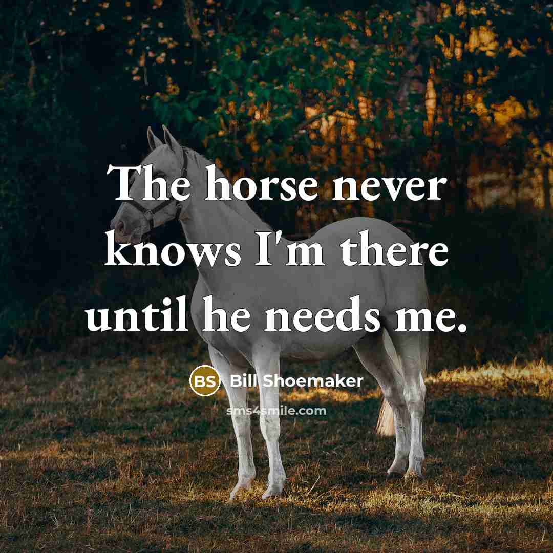 “The horse never knows I'm there until he needs me.…” quote by Bill Shoemaker