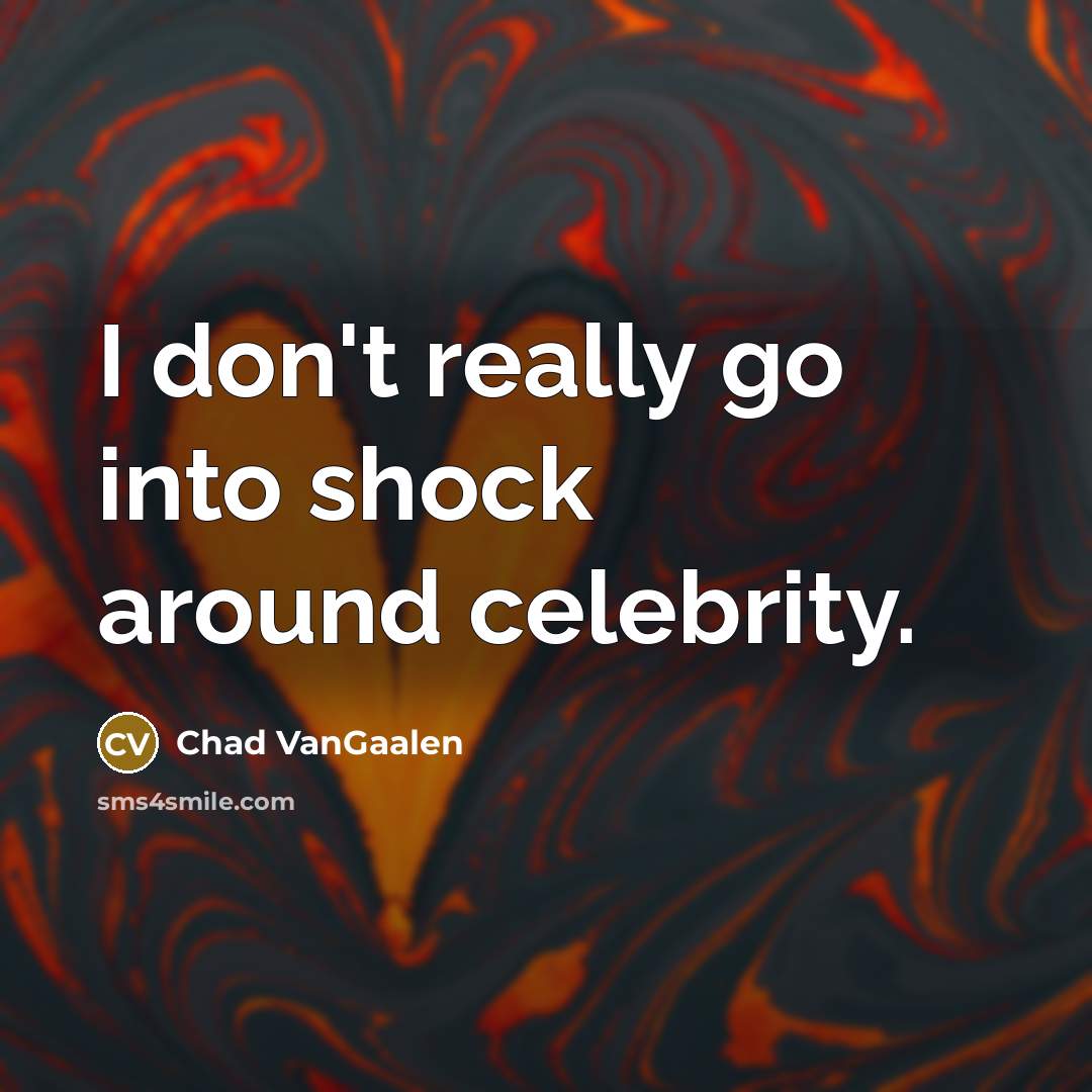 “I don't really go into shock around celebrity.…” quote by Chad VanGaalen