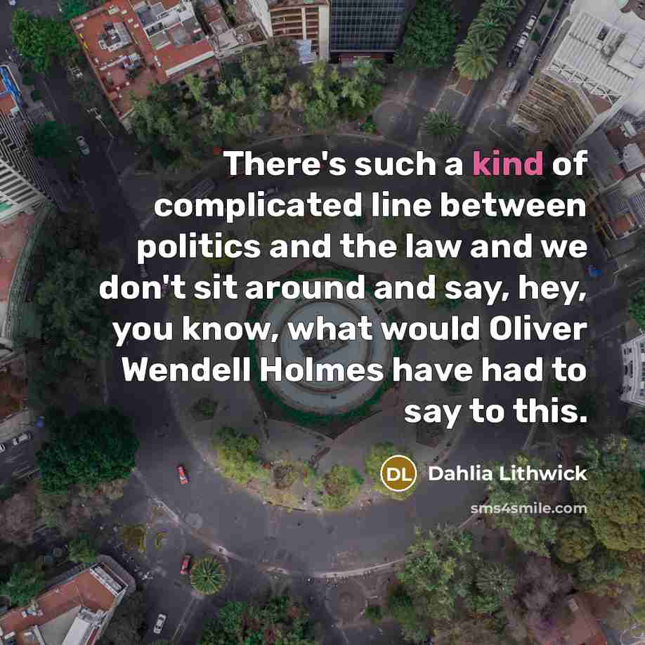 “There's such a kind of complicated line between politics and…” quote by Dahlia Lithwick