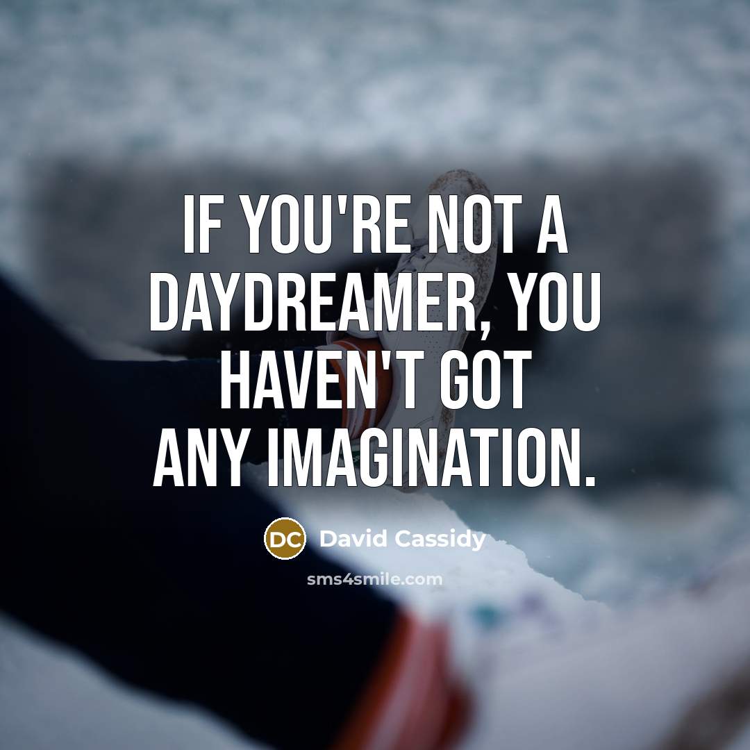 “If you're not a daydreamer, you haven't got any imagination.…” quote by David Cassidy