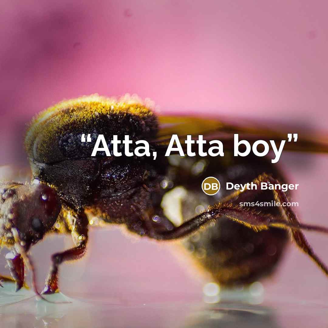“Atta, Atta boy” quote by Deyth Banger