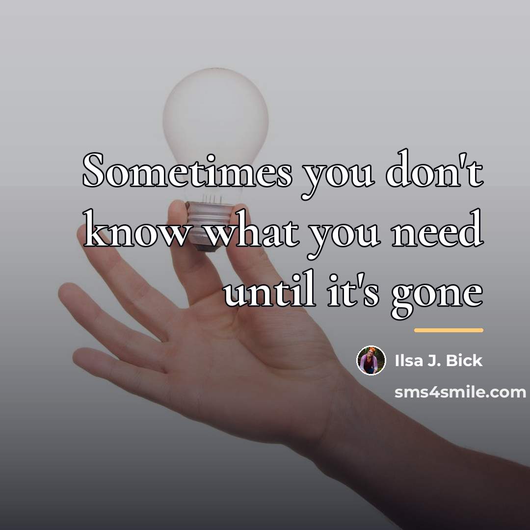 “Sometimes you don't know what you need until it's gone…” quote by Ilsa J. Bick