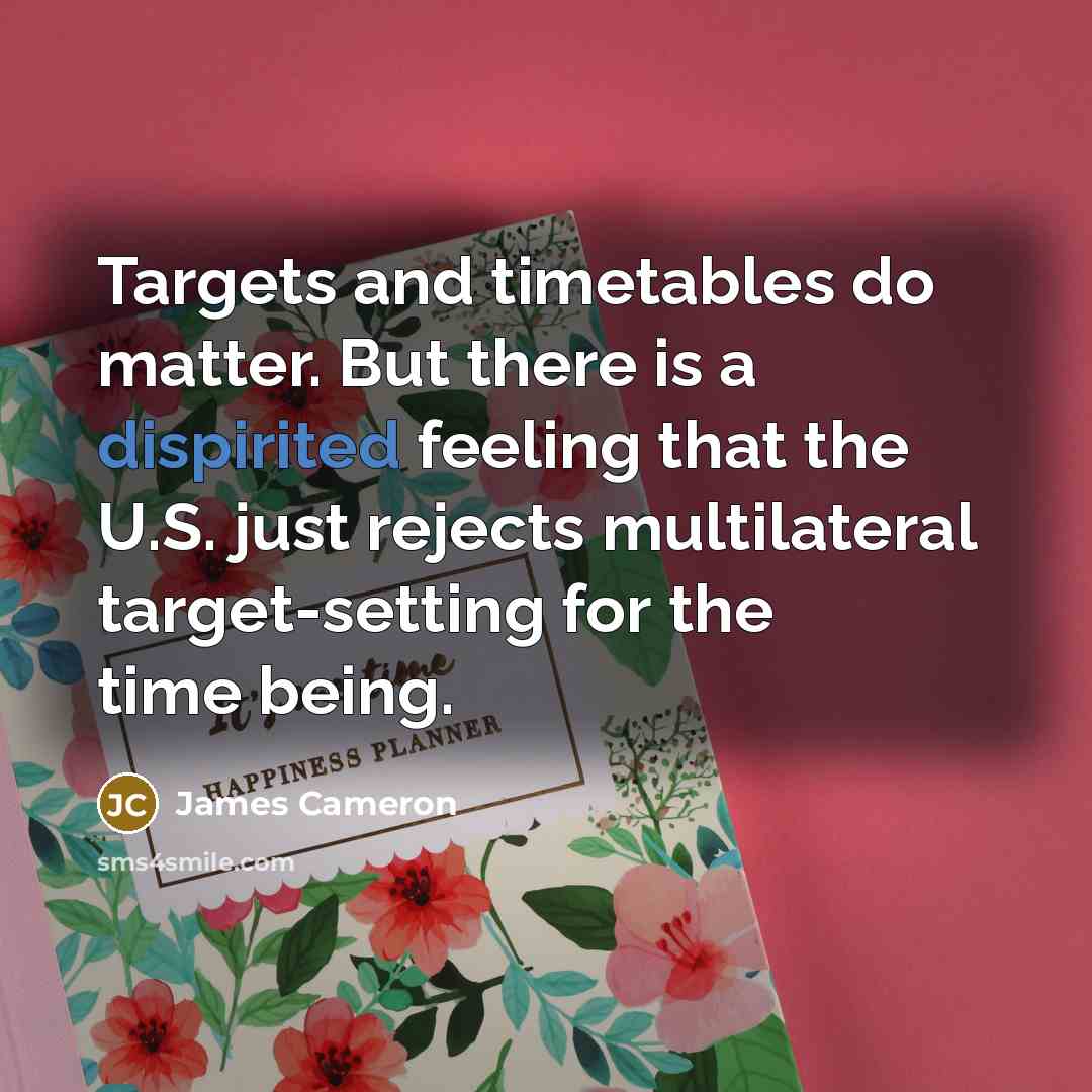 “Targets and timetables do matter. But there is a dispirited…” quote by James Cameron