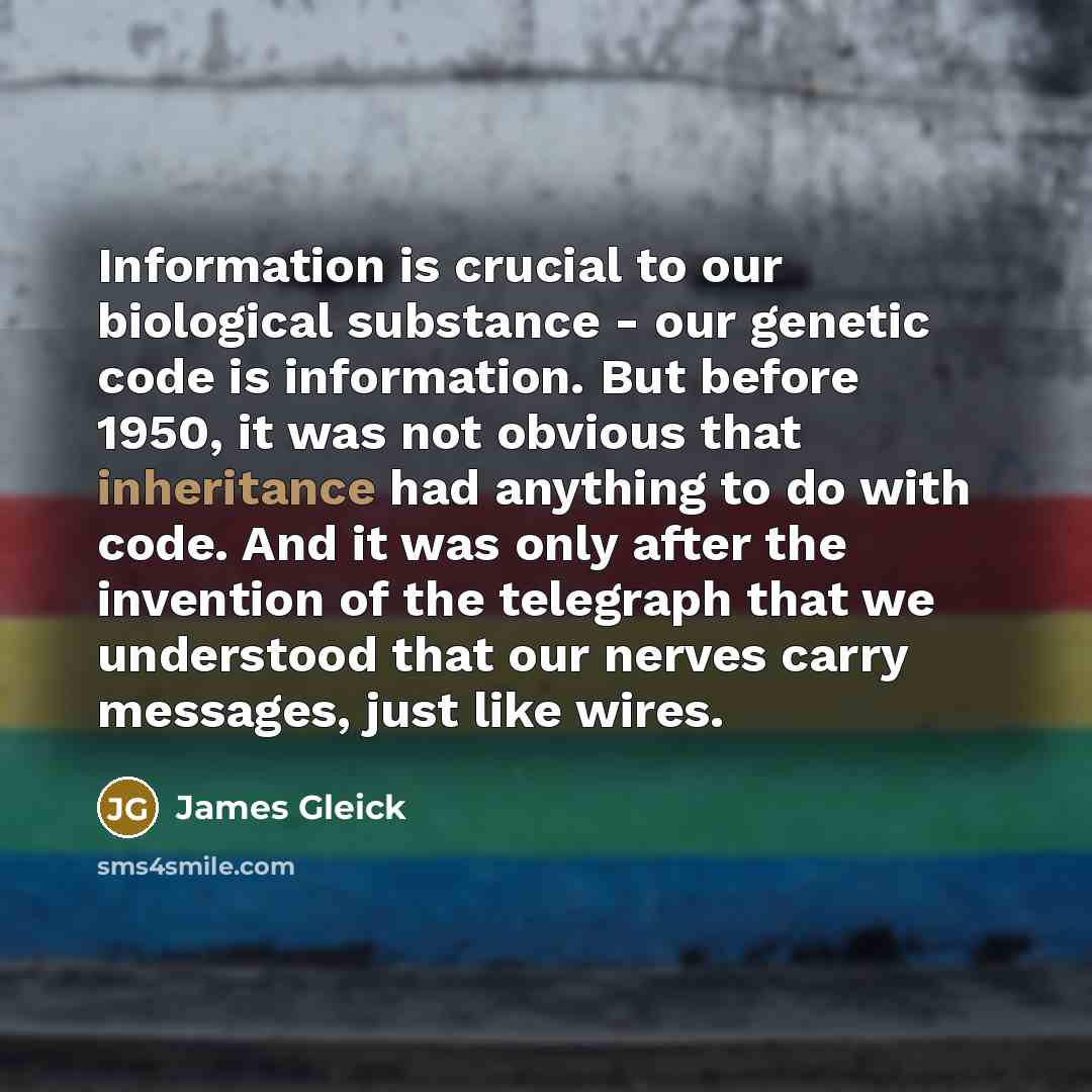 “Information is crucial to our biological substance - our genetic…” quote by James Gleick
