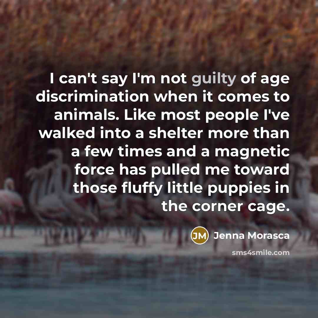 “I can't say I'm not guilty of age discrimination when…” quote by Jenna Morasca