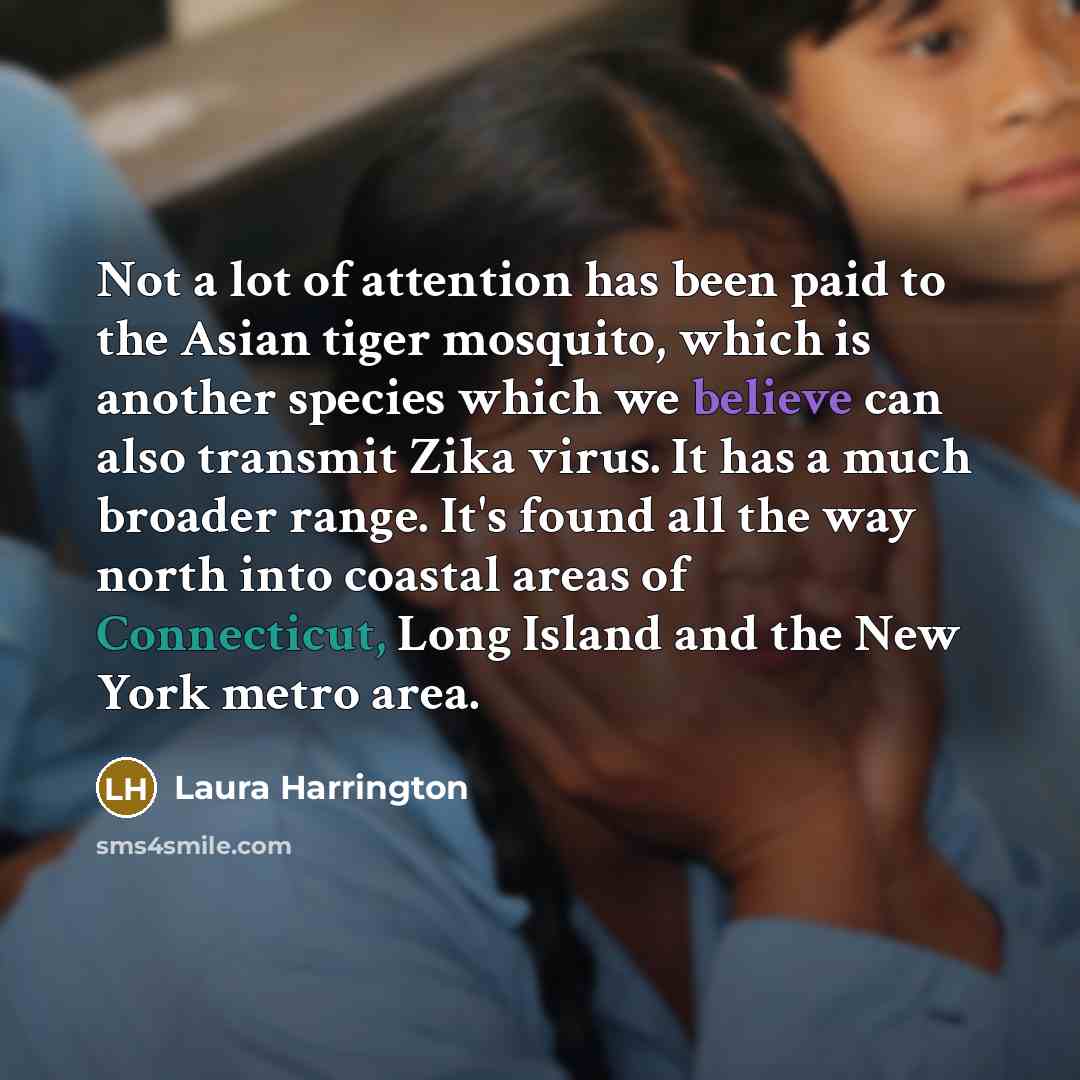 “Not a lot of attention has been paid to the…” quote by Laura Harrington