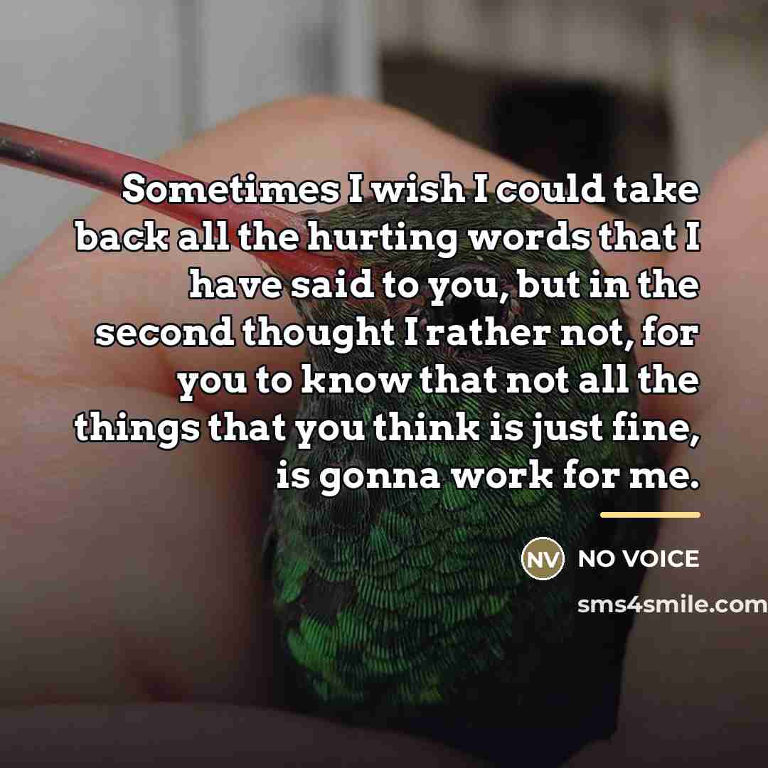 “Sometimes I wish I could take back all the hurting…” quote by NO VOICE