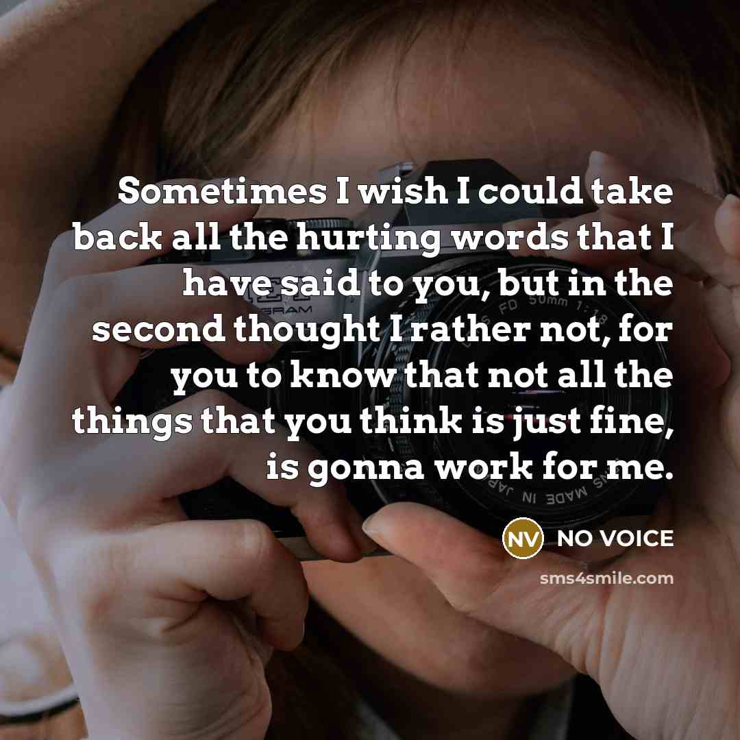 “Sometimes I wish I could take back all the hurting words that I have said to you, but in the second thought I rather not, for you to know that not all the things that you think is just fine, is gonna work for me.” quote by NO VOICE