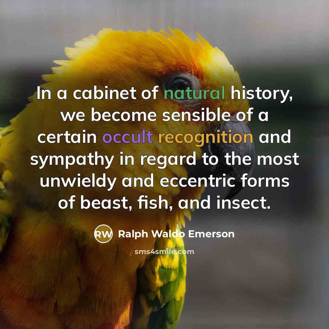 “In a cabinet of natural history, we become sensible of…” quote by Ralph Waldo Emerson