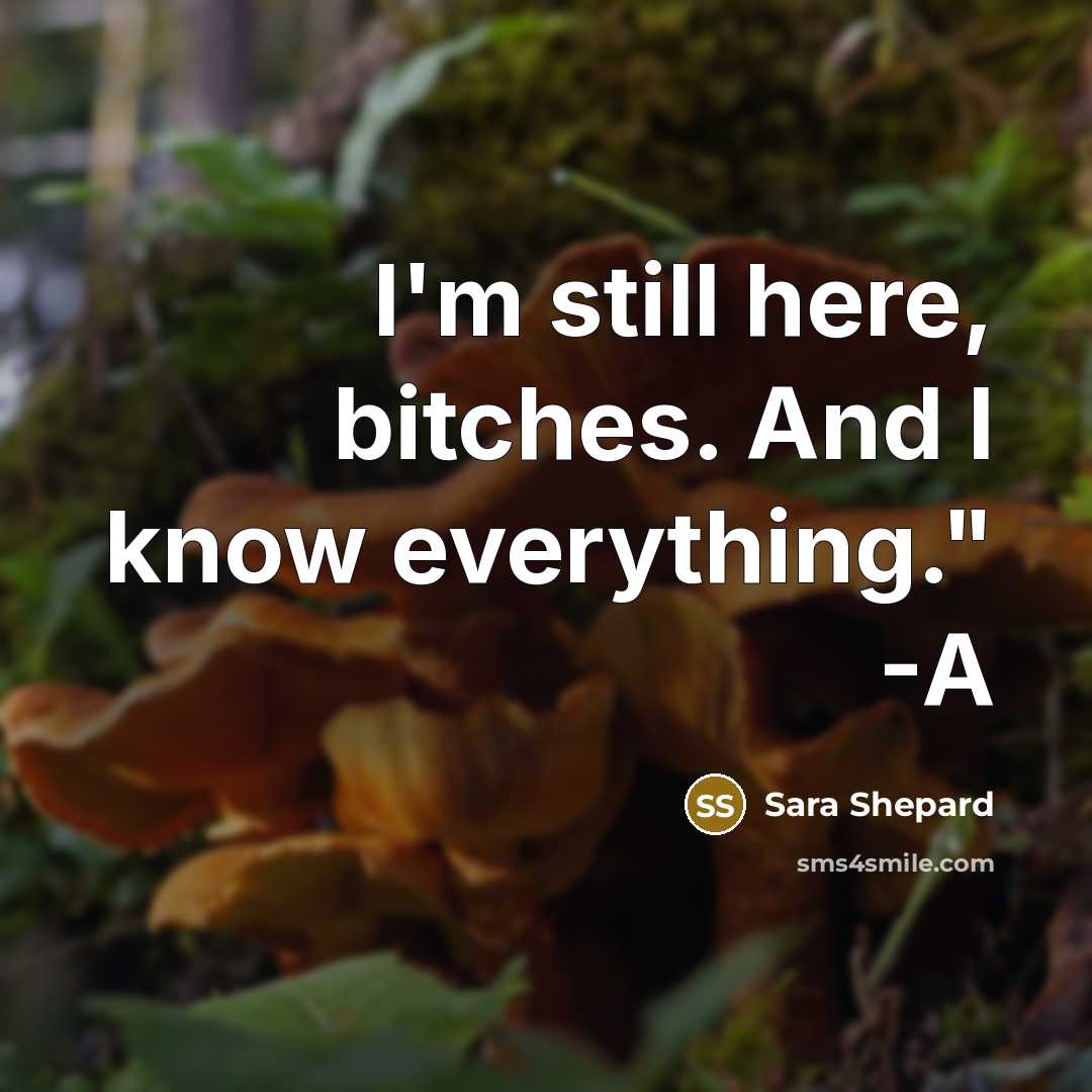 “I'm still here, bitches. And I know everything." -A…” quote by Sara Shepard