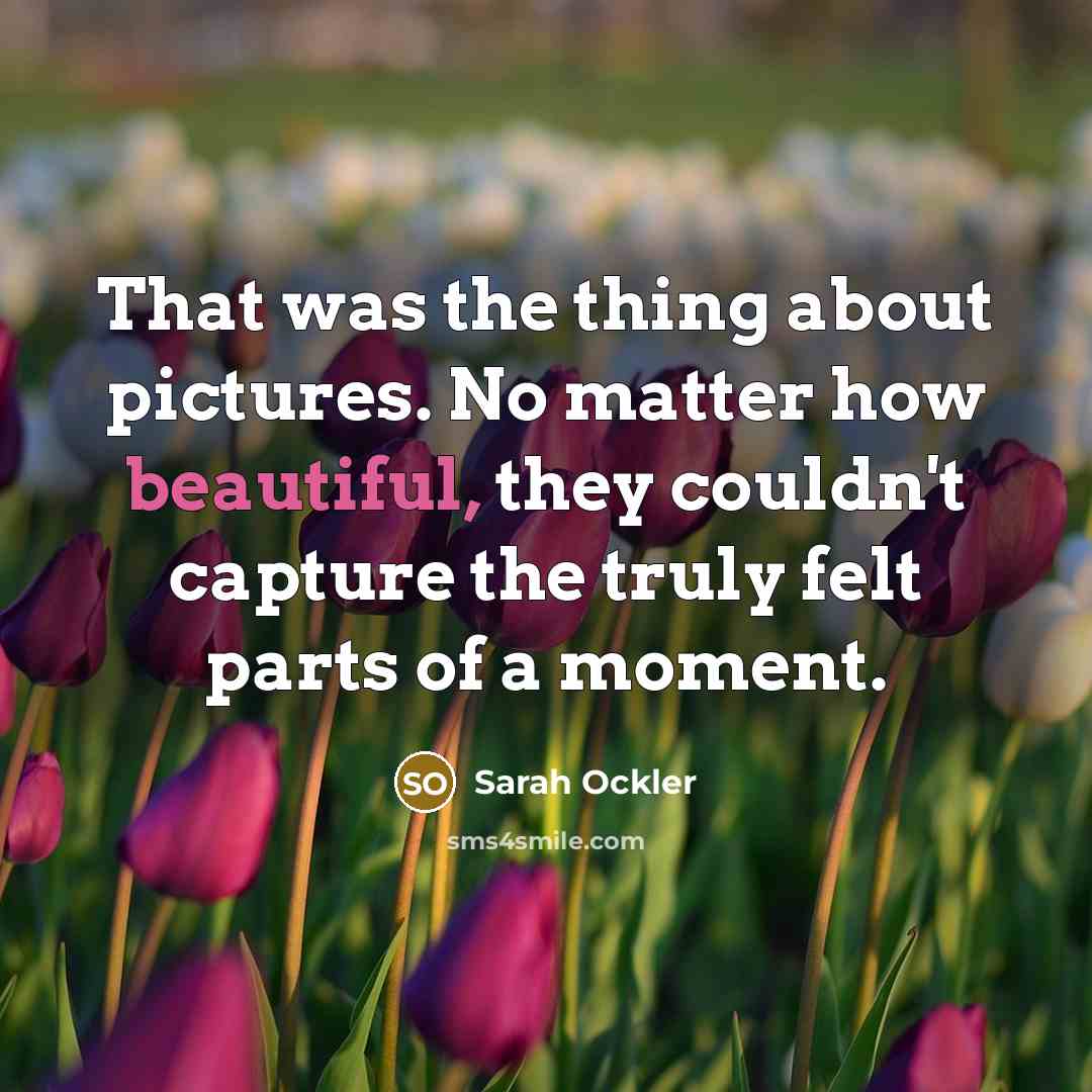 “That was the thing about pictures. No matter how beautiful,…” quote by Sarah Ockler