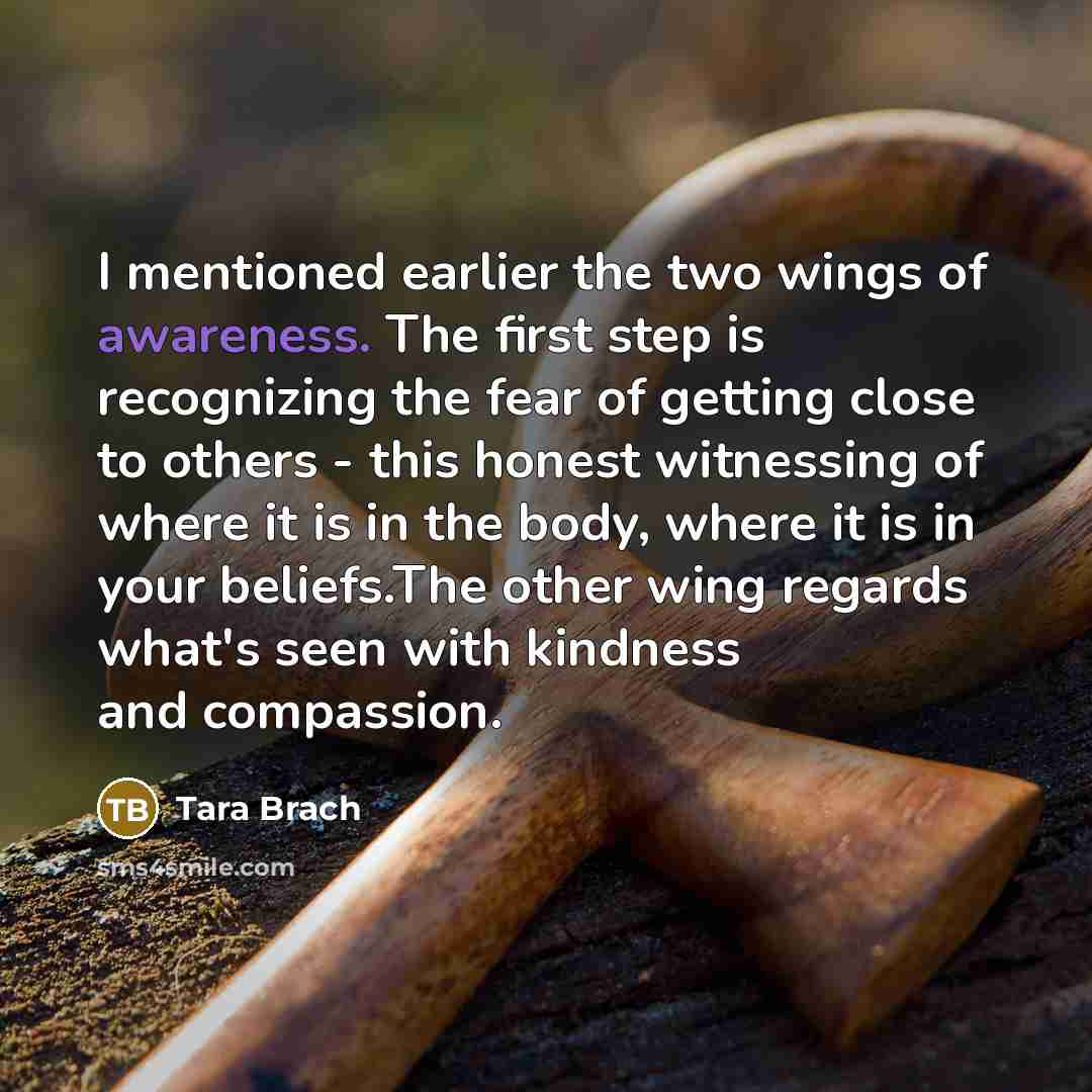 “I mentioned earlier the two wings of awareness. The first…” quote by Tara Brach