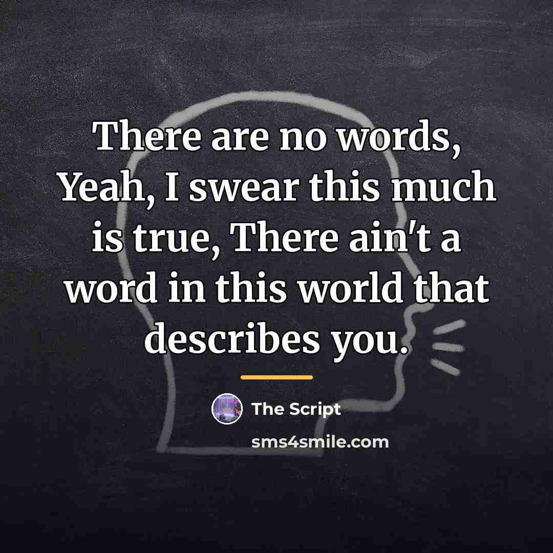 “There are no words, Yeah, I swear this much is…” quote by The Script