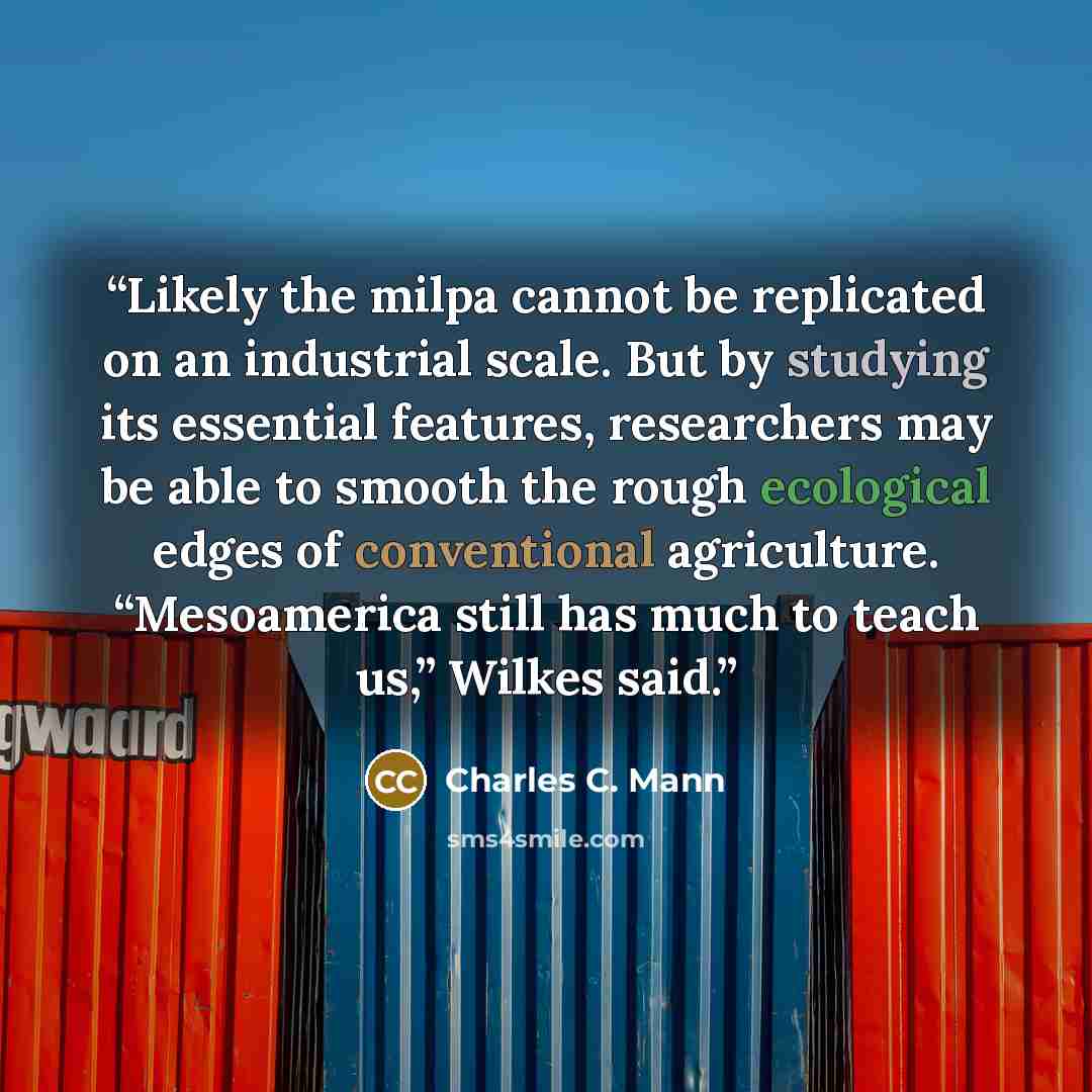“Likely the milpa cannot be replicated on an industrial scale. But by studying its essential features, researchers may be able to smooth the rough ecological edges of conventional agriculture. “Mesoamerica still has much to teach us,” Wilkes said.” quote by Charles C. Mann