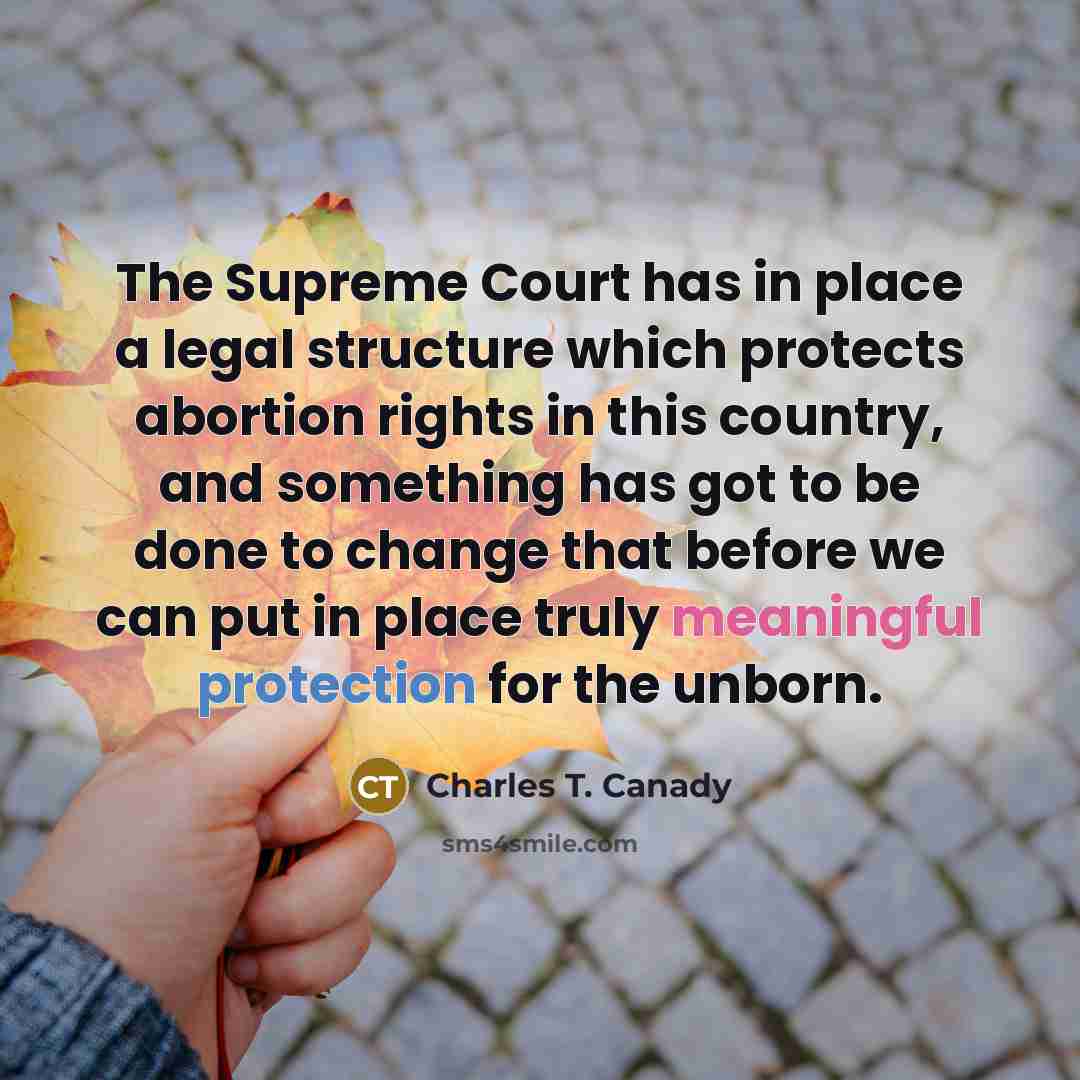 “The Supreme Court has in place a legal structure which…” quote by Charles T. Canady