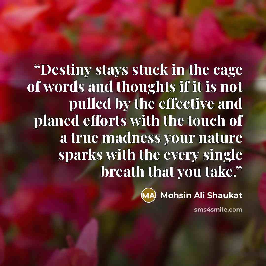 “Destiny stays stuck in the cage of words and thoughts if it is not pulled by the effective and planed efforts with the touch of a true madness your nature sparks with the every single breath that you take.” quote by Mohsin Ali Shaukat