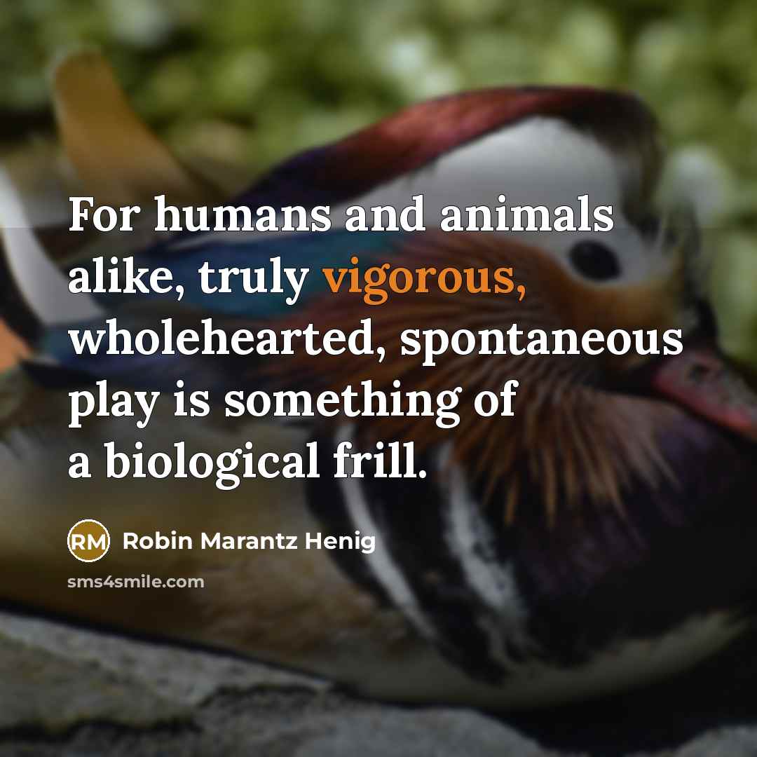 “For humans and animals alike, truly vigorous, wholehearted, spontaneous play…” quote by Robin Marantz Henig