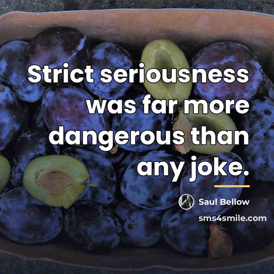 “Strict seriousness was far more dangerous than any joke.…” quote by Saul Bellow