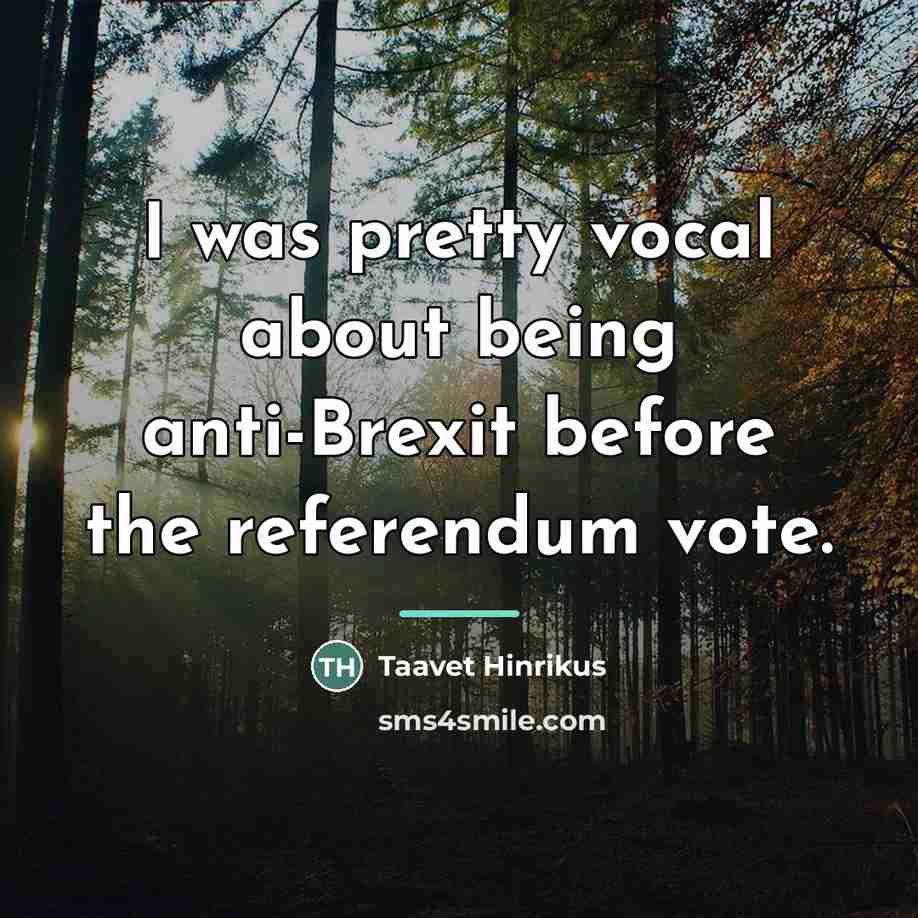 “I was pretty vocal about being anti-Brexit before the referendum…” quote by Taavet Hinrikus