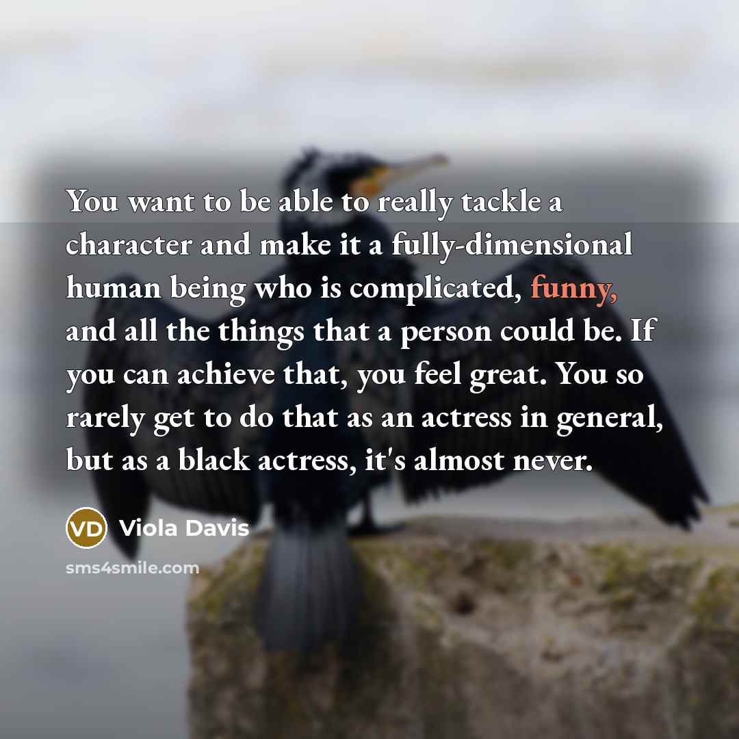 “You want to be able to really tackle a character…” quote by Viola Davis