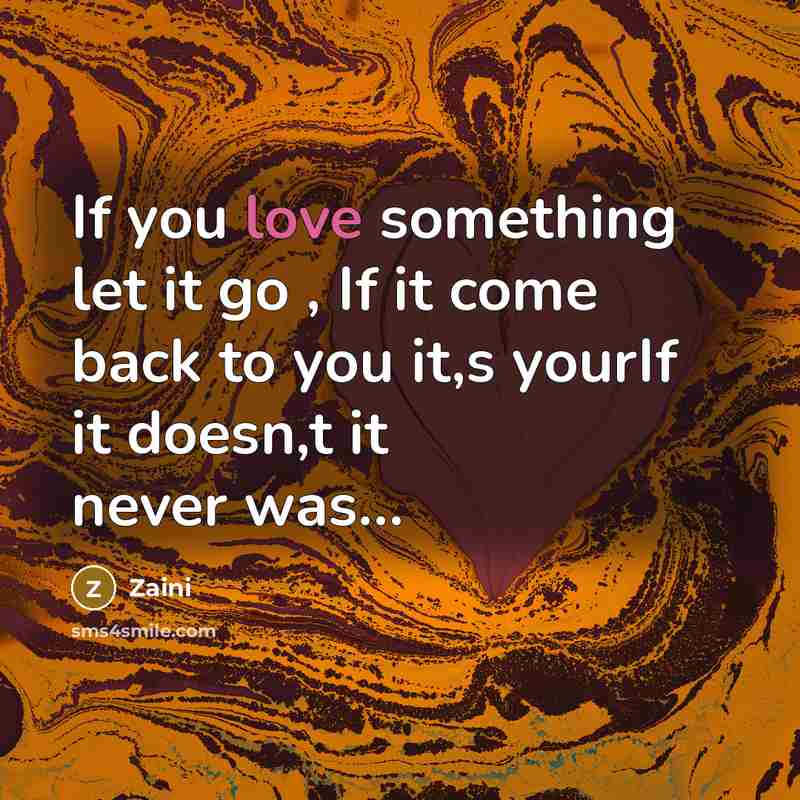 “If you love something let it go , If it…” quote by Zaini