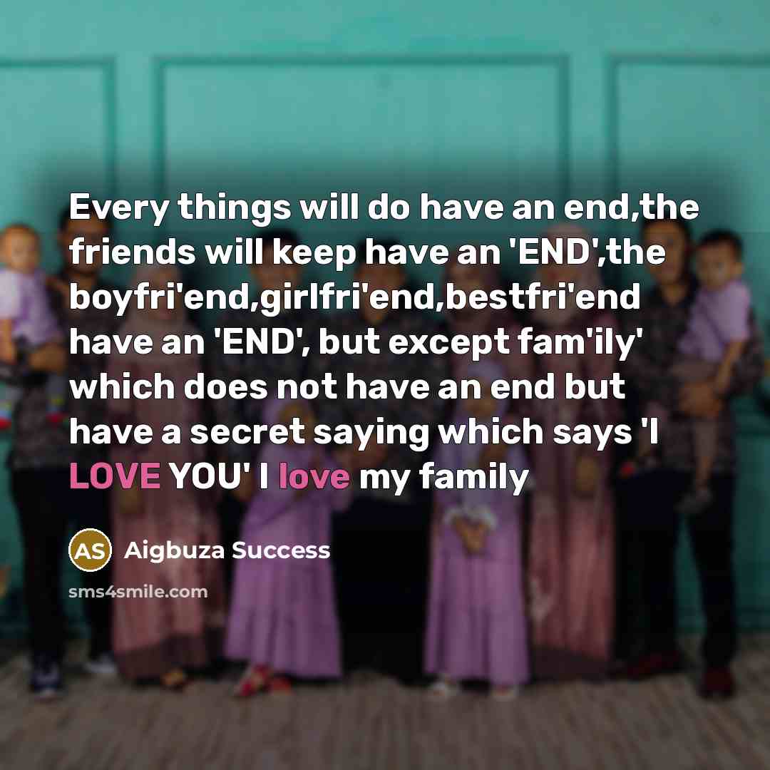 “Every things will do have an end,the friends will keep have an 'END',the boyfri'end,girlfri'end,bestfri'end have an 'END', but except fam'ily' which does not have an end but have a secret saying which says 'I LOVE YOU' I love my family” quote by Aigbuza Success