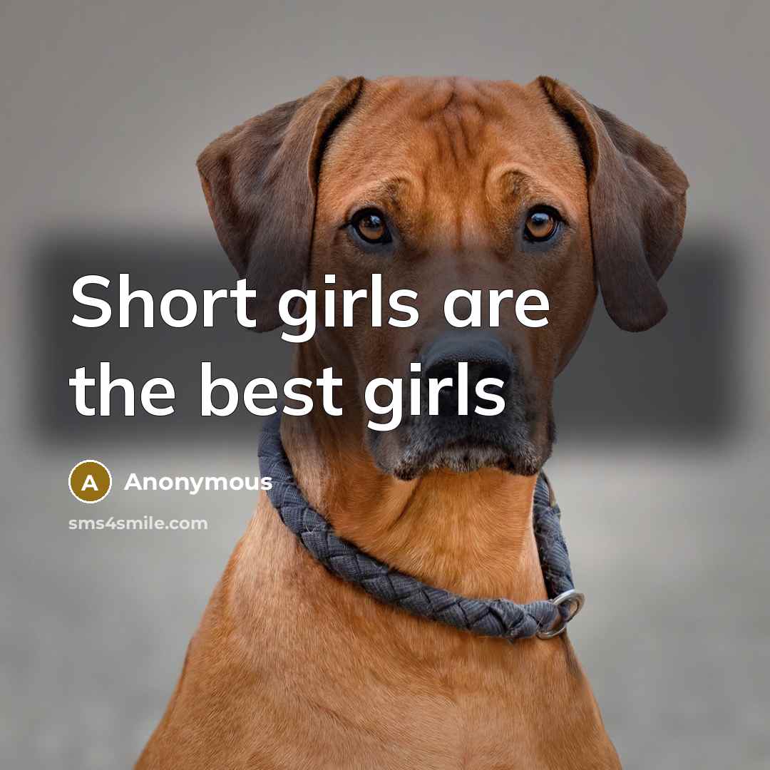 “Short girls are the best girls” quote by Anonymous