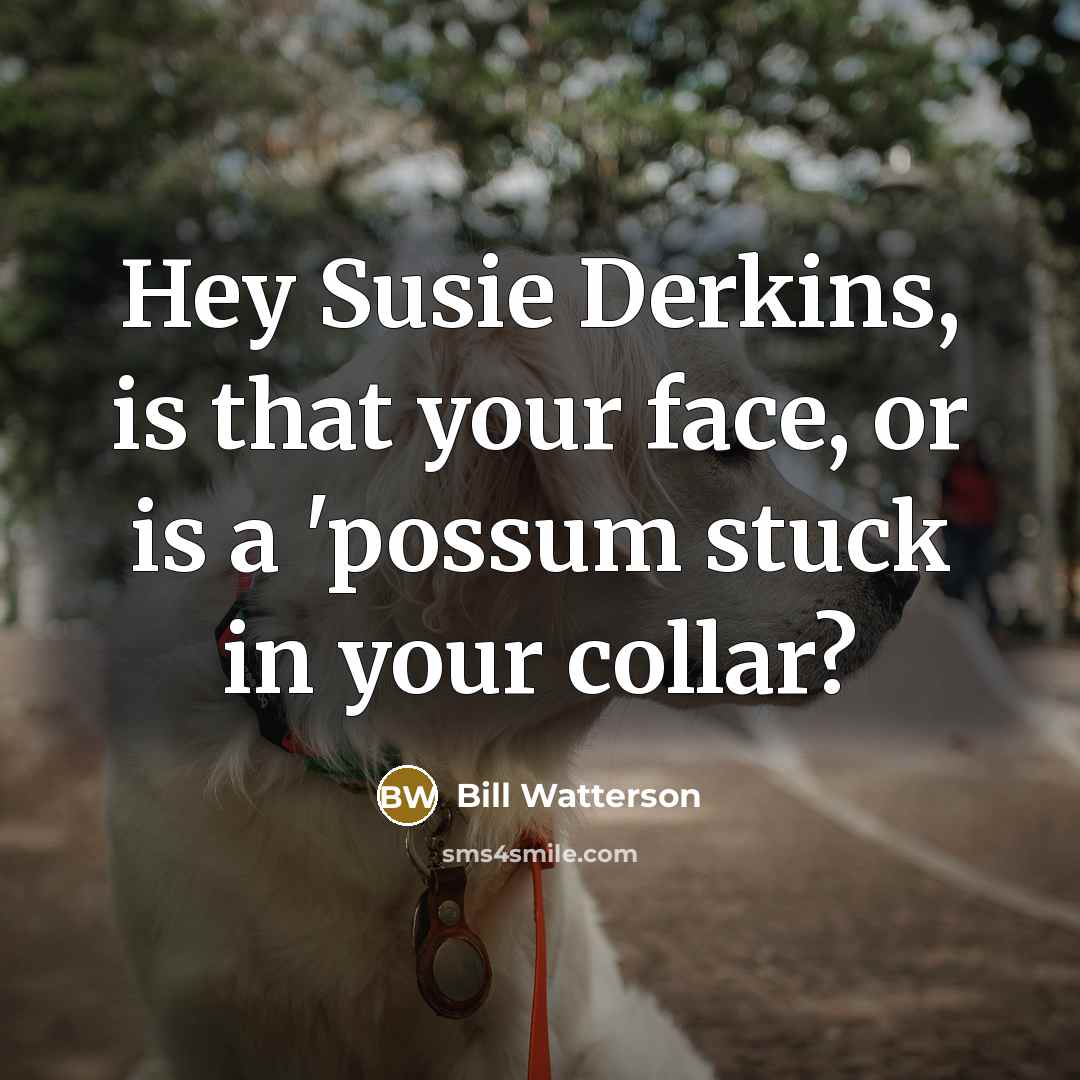 “Hey Susie Derkins, is that your face, or is a…” quote by Bill Watterson