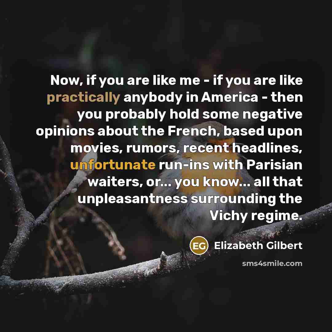 “Now, if you are like me - if you are…” quote by Elizabeth Gilbert