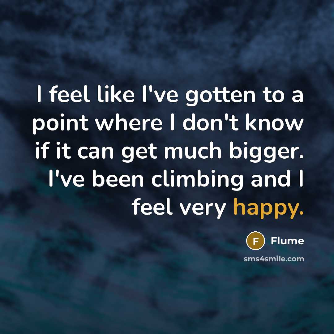 “I feel like I've gotten to a point where I…” quote by Flume