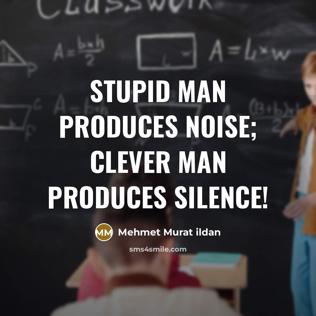 “Stupid man produces noise; clever man produces silence!…” quote by Mehmet Murat Ildan
