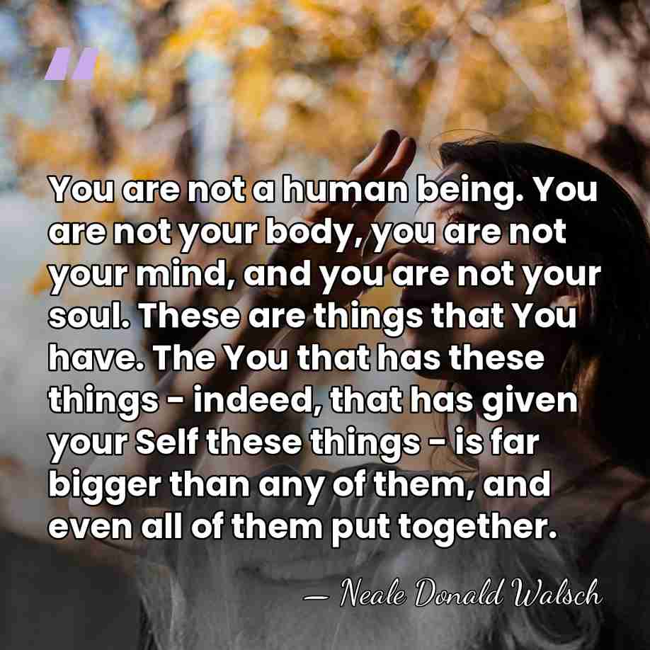 You are not a human being. You are not your body, you&hellip; - Neale Donald Walsch