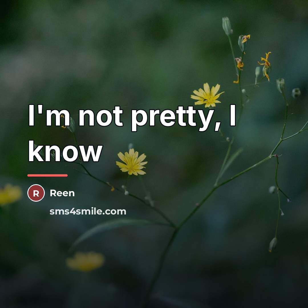 “I'm not pretty, I know…” quote by Reen