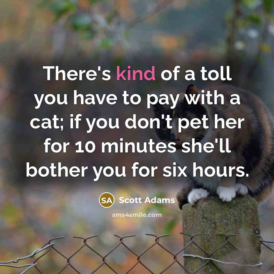“There's kind of a toll you have to pay with…” quote by Scott Adams