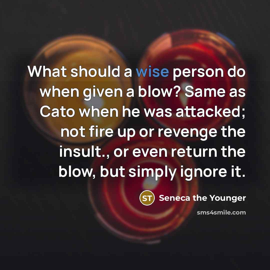 “What should a wise person do when given a blow?…” quote by Seneca the Younger