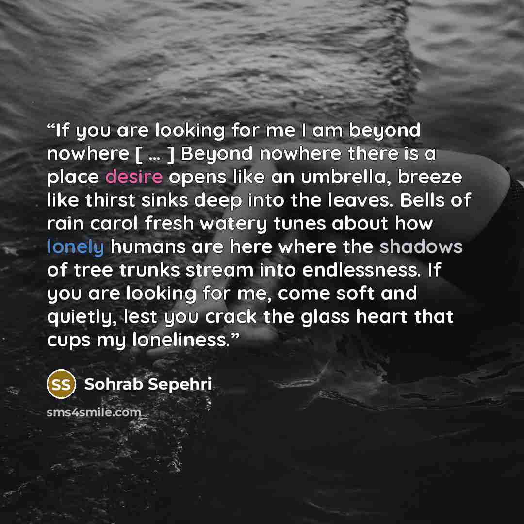 “If you are looking for me I am beyond nowhere [ … ] Beyond nowhere there is a place desire opens like an umbrella, breeze like thirst sinks deep into the leaves. Bells of rain carol fresh watery tunes about how lonely humans are here where the shadows of tree trunks stream into endlessness. If you…” quote by Sohrab Sepehri