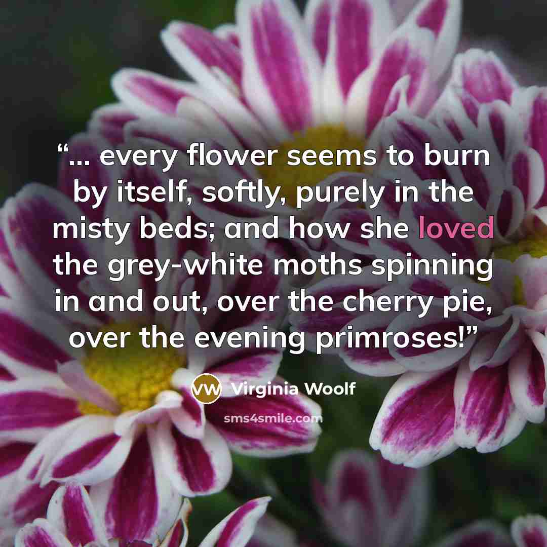 “... every flower seems to burn by itself, softly, purely in the misty beds; and how she loved the grey-white moths spinning in and out, over the cherry pie, over the evening primroses!” quote by Virginia Woolf