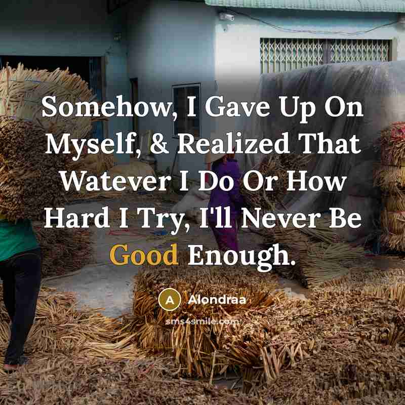 “Somehow, I Gave Up On Myself, & Realized That Watever I Do Or How Hard I Try, I'll Never Be Good Enough.” quote by Alondraa