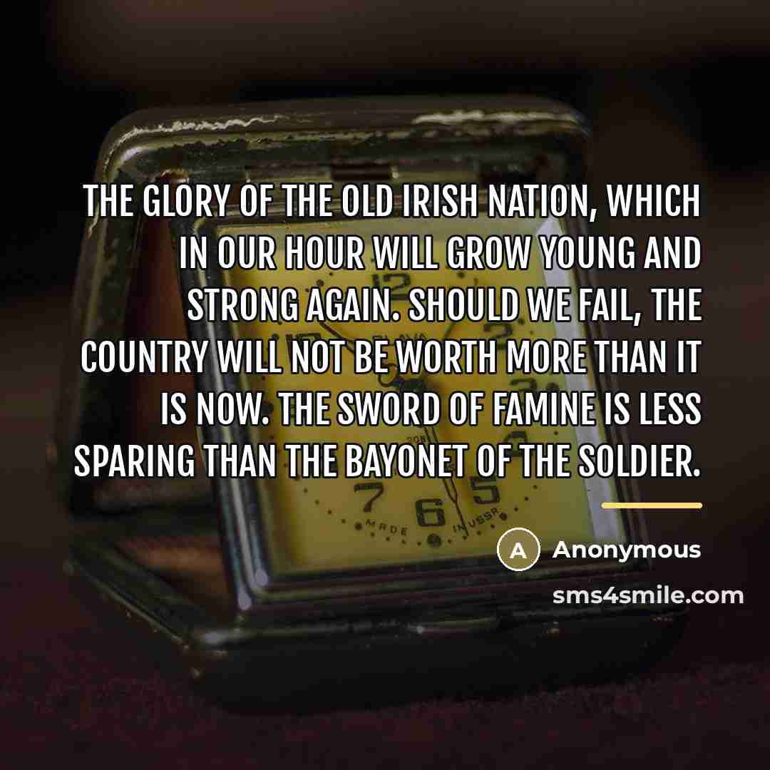 “The glory of the old Irish nation, which in our…” quote by Anonymous