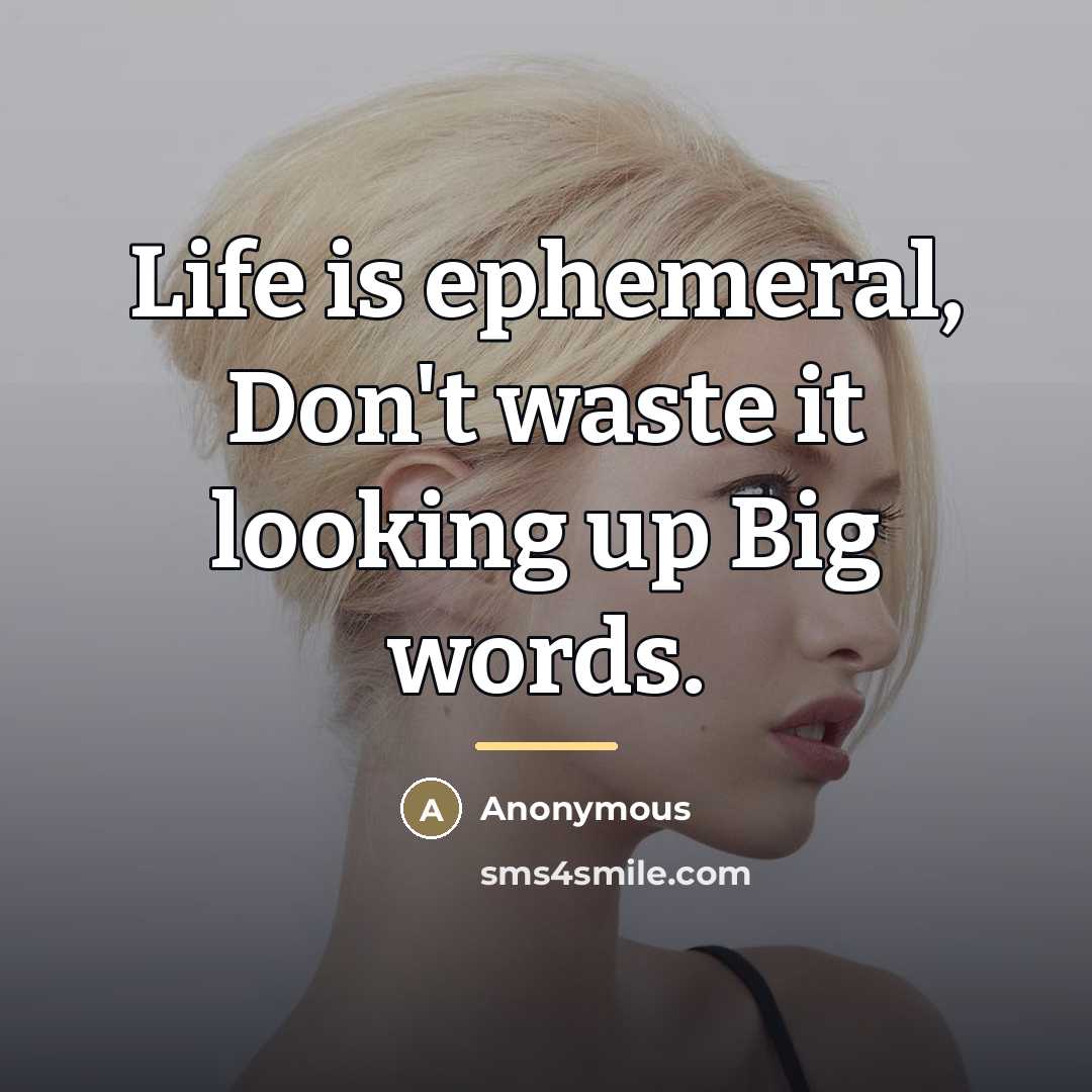 “Life is ephemeral, Don't waste it looking up Big words.…” quote by Anonymous
