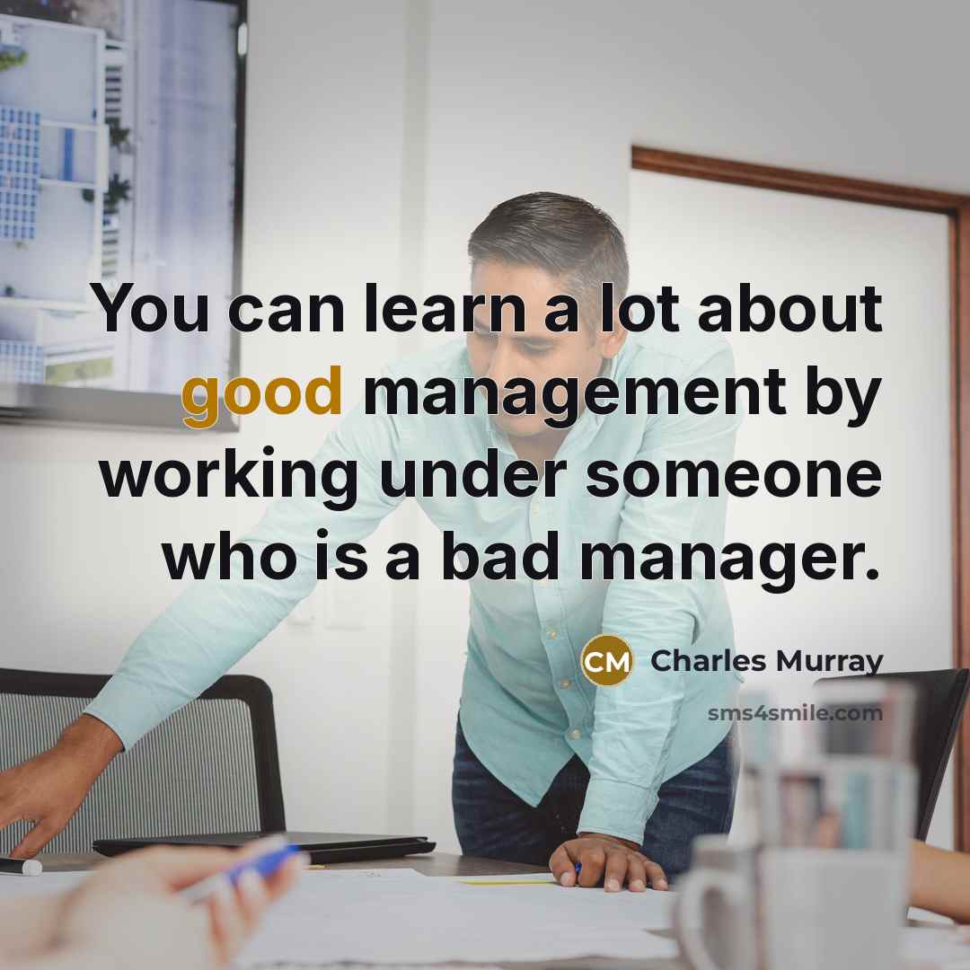 “You can learn a lot about good management by working…” quote by Charles Murray