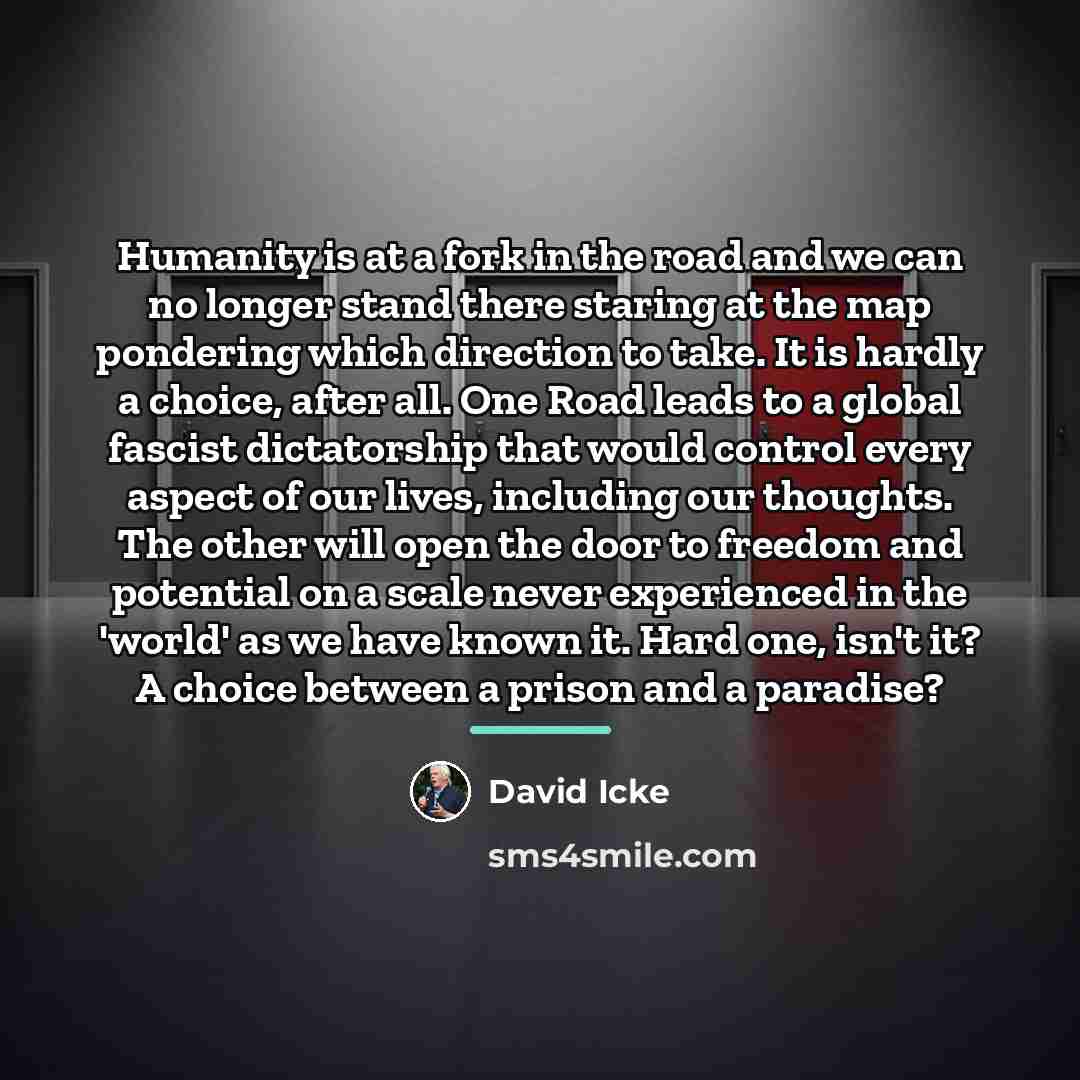 “Humanity is at a fork in the road and we…” quote by David Icke