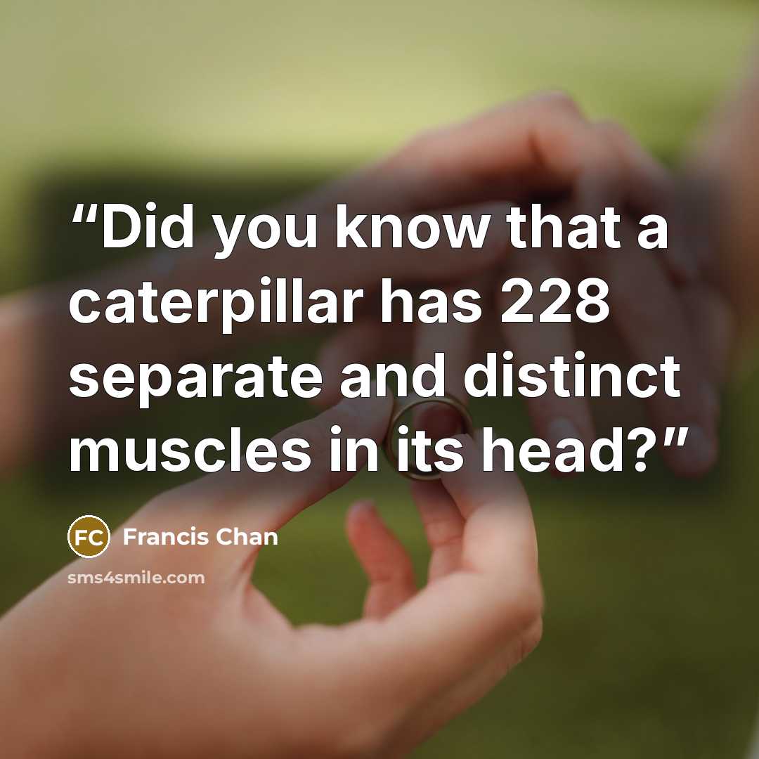 “Did you know that a caterpillar has 228 separate and distinct muscles in its head?” quote by Francis Chan