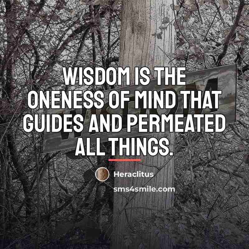 “Wisdom is the oneness of mind that guides and permeated…” quote by Heraclitus