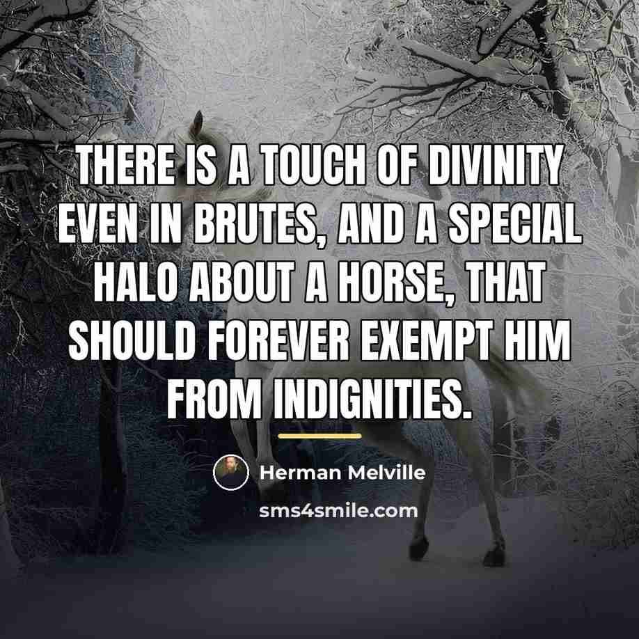 “There is a touch of divinity even in brutes, and…” quote by Herman Melville