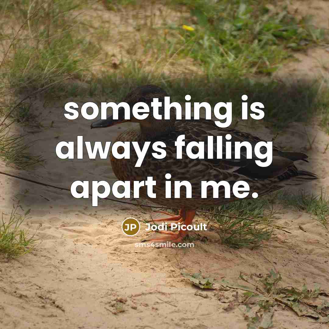 “something is always falling apart in me.” quote by Jodi Picoult