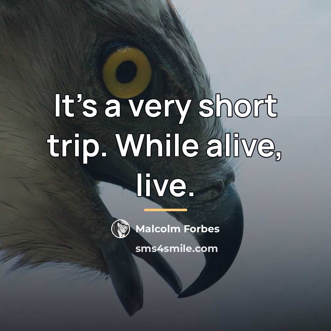 “It's a very short trip. While alive, live.…” quote by Malcolm Forbes
