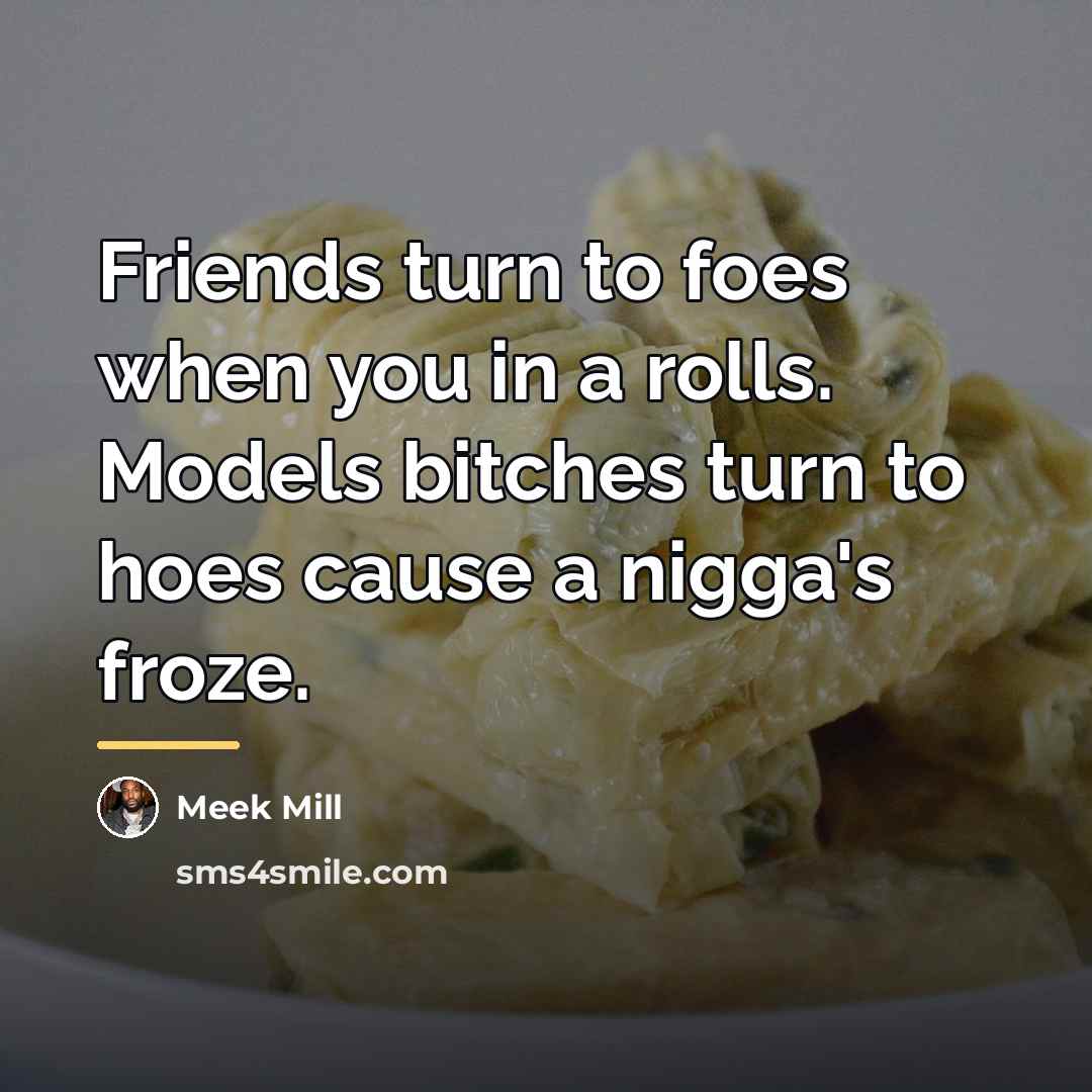 “Friends turn to foes when you in a rolls. Models…” quote by Meek Mill